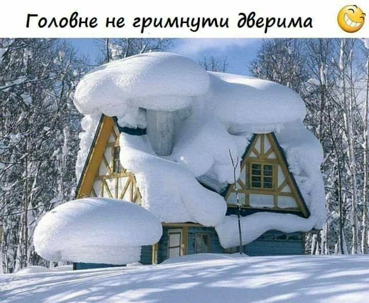 Г олобне не гримнуиди дберима
