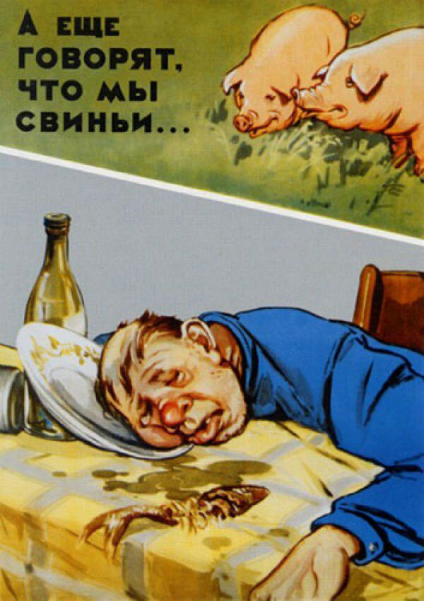А ци 1 говорят что мы у свиньи _