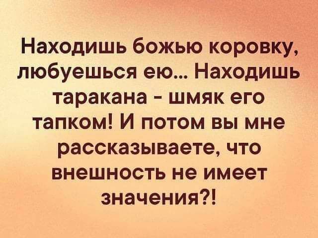 Находишь божью коровку любуешься ею Находишь таракана шмяк его тапком И потом вы мне рассказываете что внешность не имеет значения