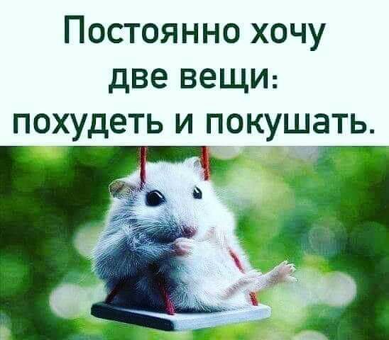 Постоянно хочу две вещи похудеть и покушать