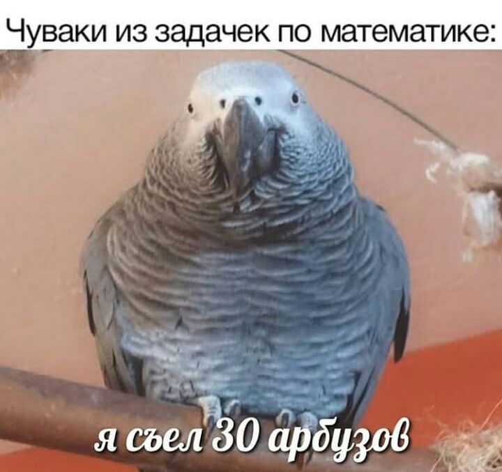 ЧУВЭКИ ИЗ ЗЭДЭЧЭК ПО математике
