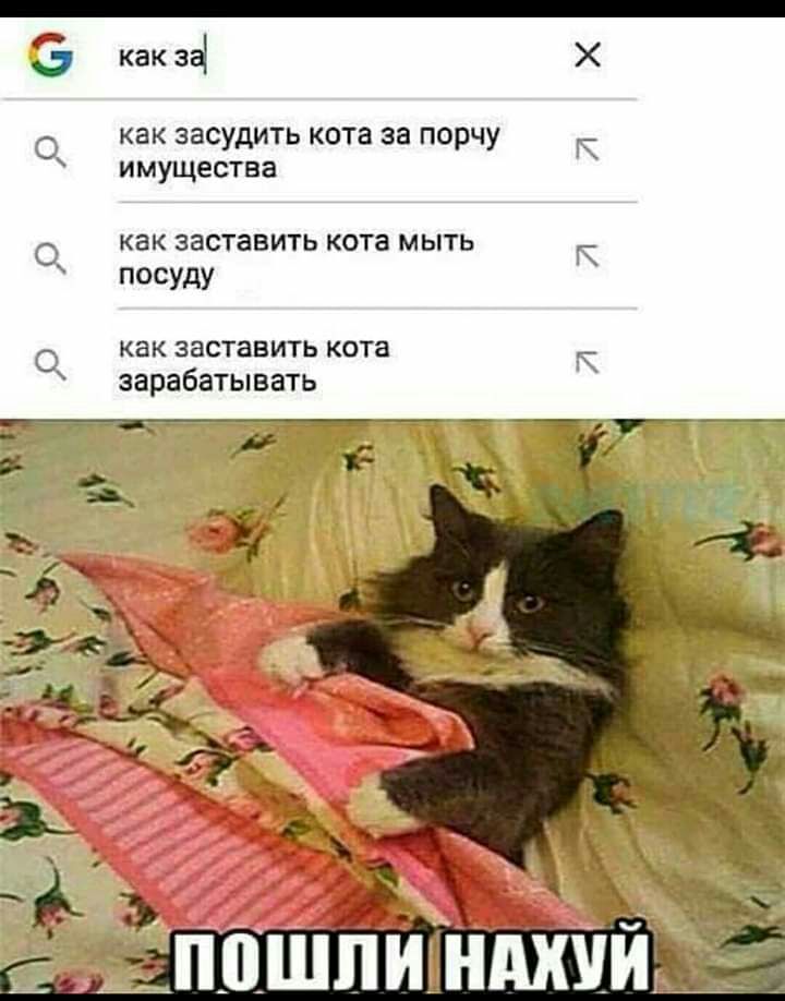 как 331 Х О как засудить кота за порчу имущества О как заставить кота мыть К ПОСУдУ О как заставить кота зарабатывать т 35 _