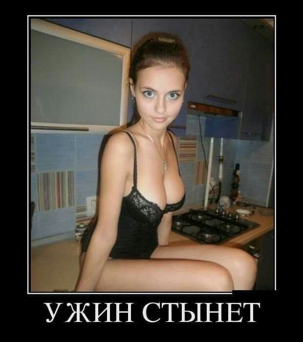 УЖИН СТЫНЕТ
