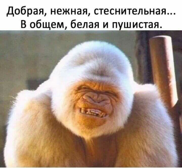 добрая нежная стеснительная _В общем белиая п шистая