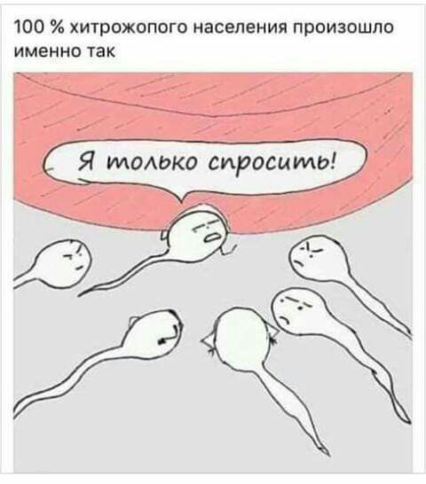 100 хитрожопого населения произошло именнэ так Я только спросить _