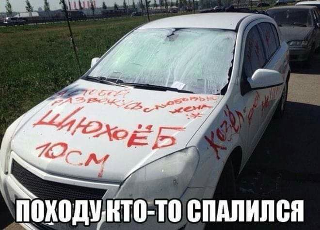 шодшнтто ппдпипсн