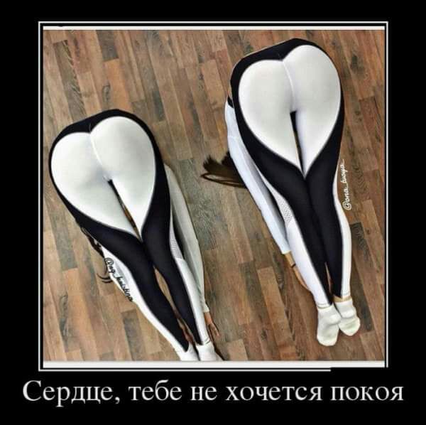Сердце тебе не хочется покоя