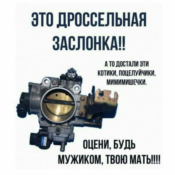 ЭТО ДРОВВЕЛЬНАЯ ЗАВЛОНКАН А ТО ДЕТАЛИ ЗТИ КПТИКИ ППЦШУЙЧИКИ МИМИМИШЕШИ ПЦЕНИ БУДЬ МУЖИКПМ ТВОЮ МАТЬ