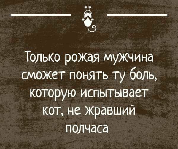 Только рожая мужчина сможет понять ту 60Ль которую испытывает кот не жравший полчаса