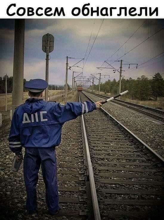 Совсем обнсдлели