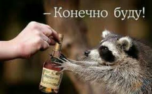 Конечно буду