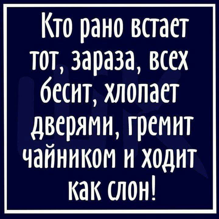 Кто рано встает тот зараза всех бесит хлопает дверями треиит чайникои и ходит как слон