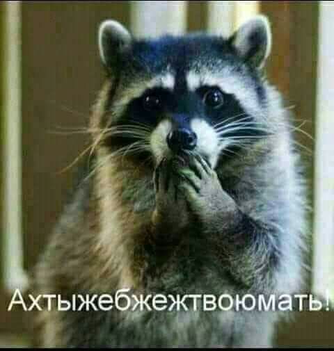 к А хтыжеёдкетв о ЁТ ч