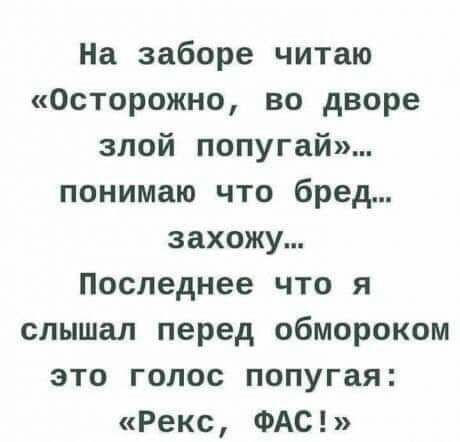 На заборе читаю Осторожно во дворе злой попугай понимаю что бред захожу Последнее что я слышал перед обмороком это голос попугая Рекс ФАС
