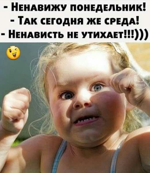 Нвндвижу ПОНЕДЕЛЬНИК ТАк Егодия ж СРЕДА Ніндвисть и утихднт