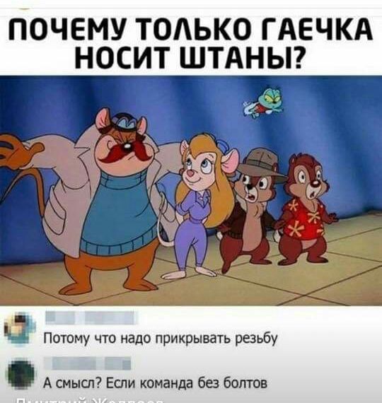 ПОЧЕМУ ТОАЬКО ГАЕЧКА НОСИТ ШТАНЫ Потому что надо прикрывать резьбу А смысл Если команда без ботов