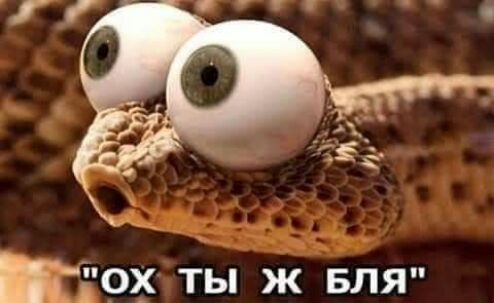 ох ты ж Бля