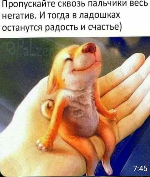 Пропускайте сквозь пальчики весь негатив И тогда в ладошках останутся радость и счастье