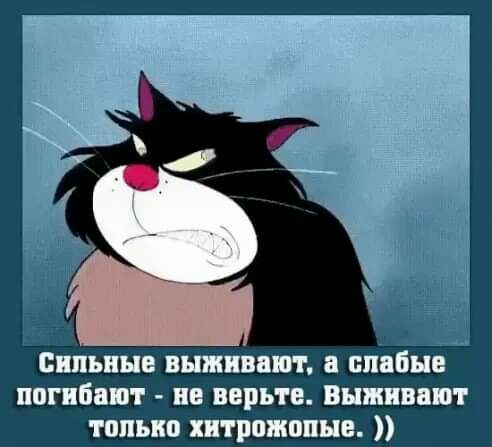 пильные выживают и слабые погибают не верьте Вышиваю г только хитрпжппые