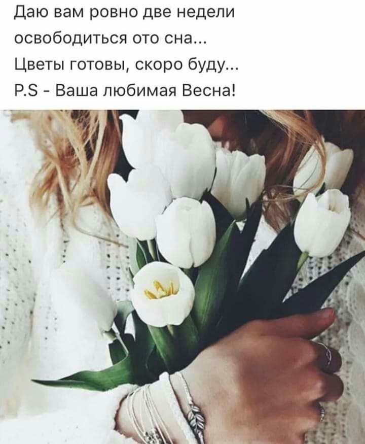 Даю вам ровно две недели освободиться ото сна Цветы готовы скоро буду РБ Ваша любимая Весна