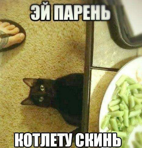 _ 1 В ШЛЕП ВИНДЫ
