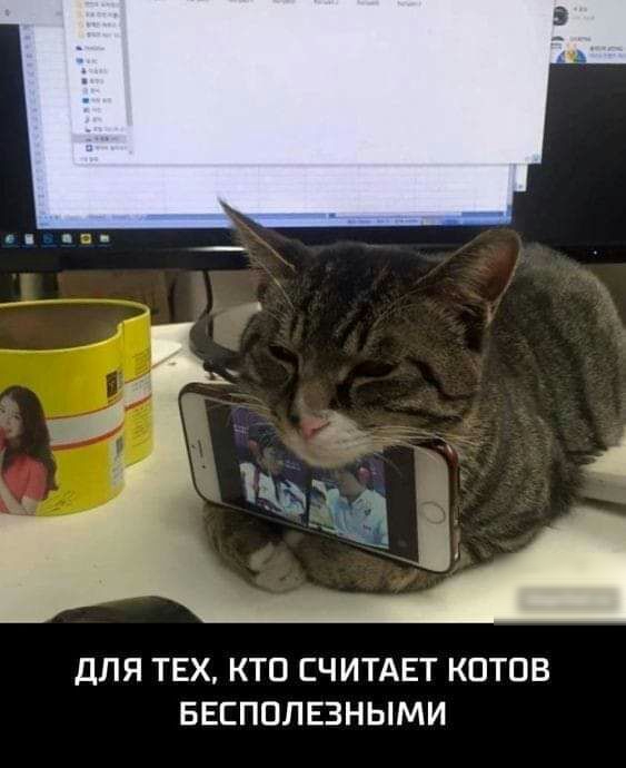 ДЛЯ ТЕХ КТП СЧИТАЕТ КПТПВ БЕЕППЛЕЗНЫМИ