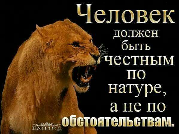 Человек Должен _ _ быть ЁЁЁЧССТНЫМ ім по натуре не по ЁЁоімтитепьпшам