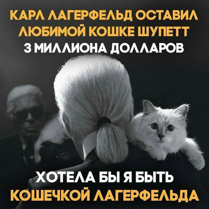 КАРА ААГЕРФЕАЬД ОСТАВИА АЮБИМОЙ кошке шупвтт з мимиощ дОАААРОВ хоТЕАА вы я выть кошечкой ААГЕРФЕАЬДА
