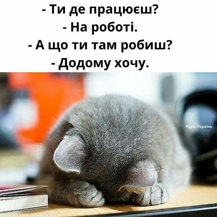 Ти де працюеш На роботі А що ти там робиш додому хочу