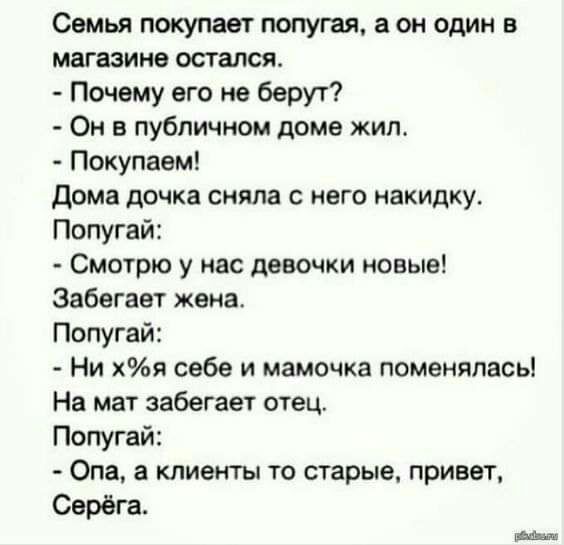 Семья покупает попугая а он один в магазине остался Почему его не берут Он в публичном доме жил Покупаем дома дочка сняла с него накидку Попугай Смотрю у нас девочки новые Забегает жена Попугай Ни хя себе и мамочка поменялась На мат забегает отец Попугай Опа а клиенты то старые привет Серёга