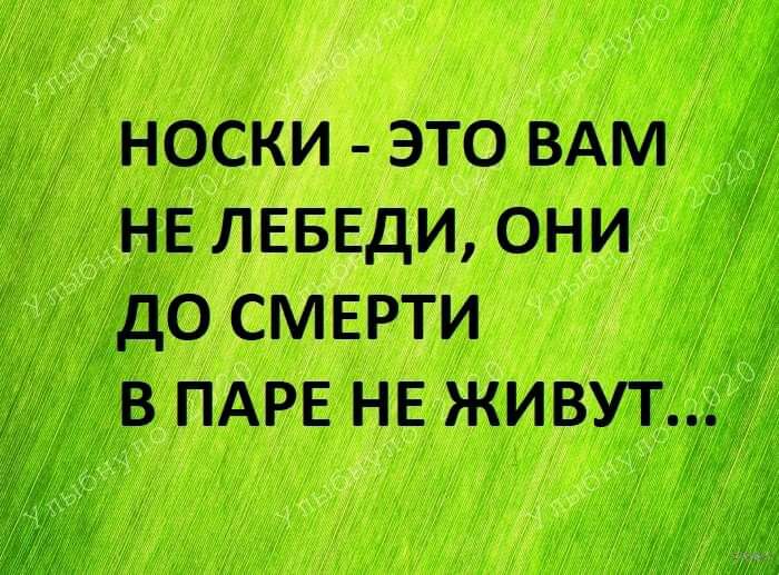 Носки не лебеди до смерти парами не живут картинки