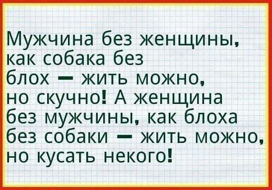 Мужчина без женщины как собака без блох жить можно но скучно А женщина без мужчины как блоха без собаки жить можно но кусать некого