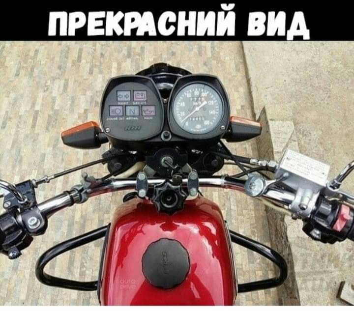 лишений вид