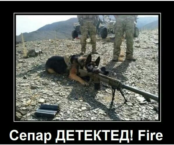 Сепар ДЕТЕКТЕД Ріге