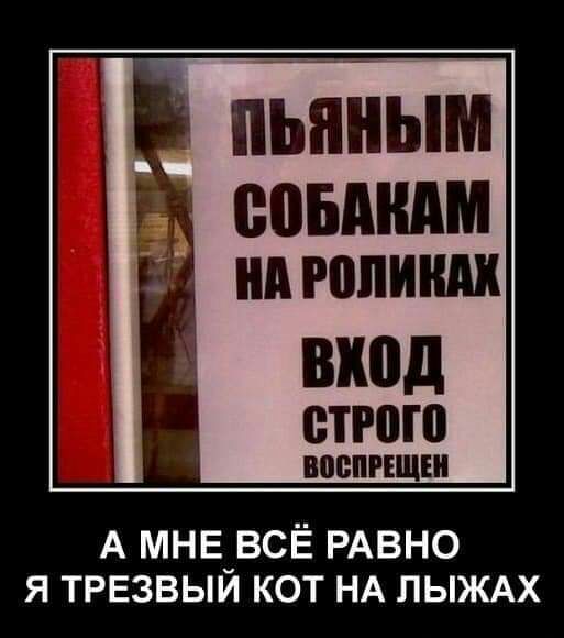 пББным помним вход етгою ВЩШРЕЩШ А МНЕ_ВСЁ РАВНО Я ТРЕЗВЫИ КОТ НА ЛЫЖАХ