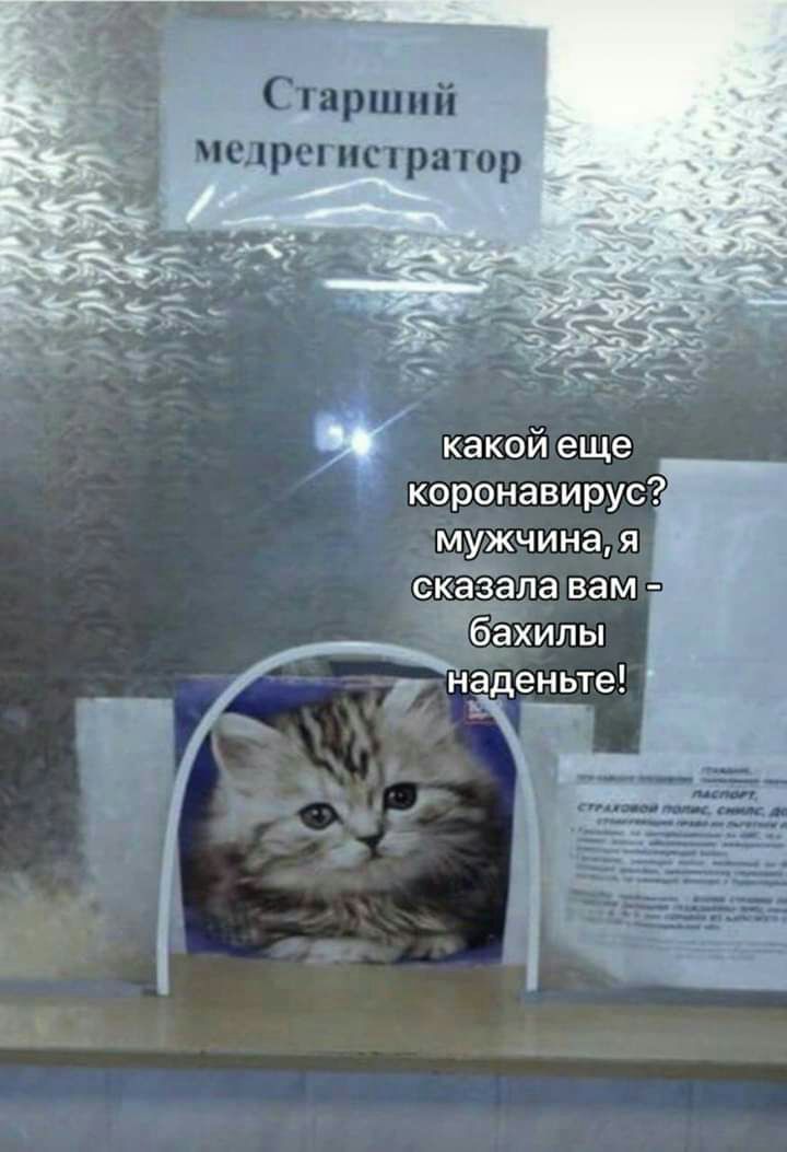 Старший медрегистратор мужчина я Ча апа вам