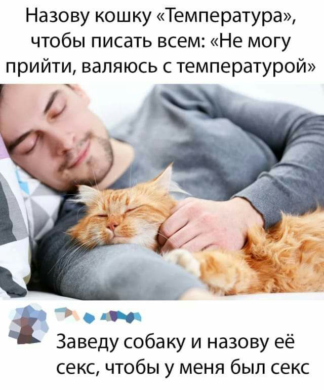 Назову кошку Температура чтобы писать всем Не могу прийти валяюсь с температурой УЧ Заведу собаку и назову её секс чтобы у меня был секс