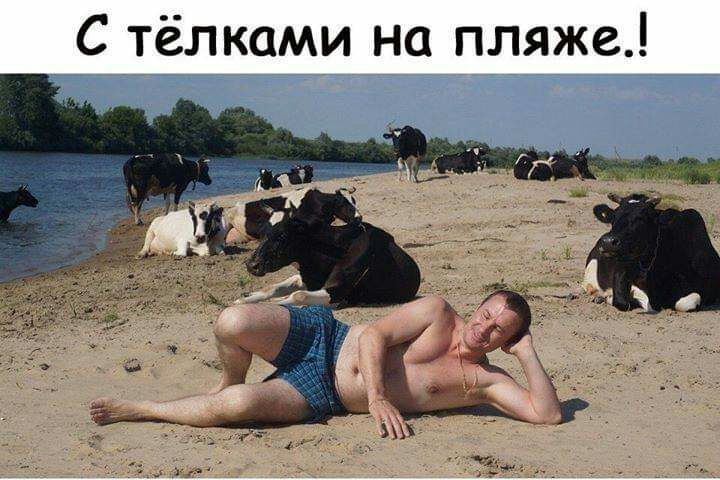 С тёлками на пляже