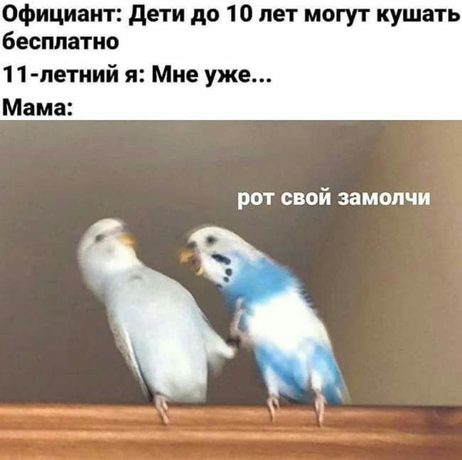Официант дети до 10 лет могут кушать бесплатно 11 летний я Мне уже Мама рот свой замопчи