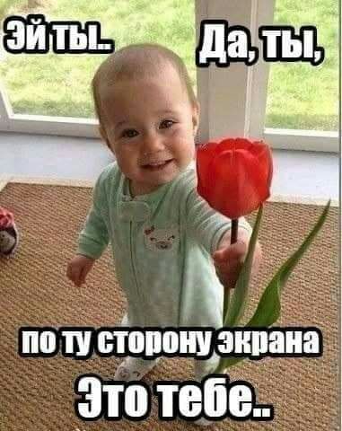 по ТУ Ёппош в Это теЁе