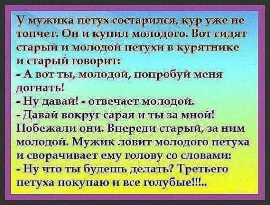 А вот ты молсдой попробуи меня дппшть Ну давай отвечает молодой Давай вокруг сарая и ты за мной Побежали они Впереди старый за ним молодой Мужик ловъгг молодого петуха и сворачиваел ему голову со словами Ну что ТЫ Будеггъ делать Третьегп петуха покупаю и все голубые