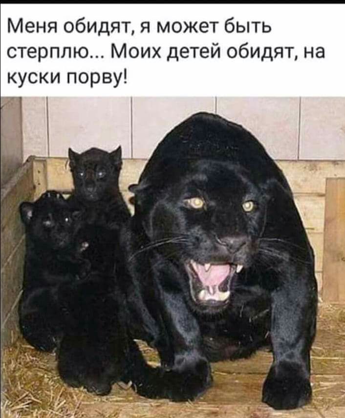 Меня обидят я может быть стерплю Моих детей обидят на куски порву