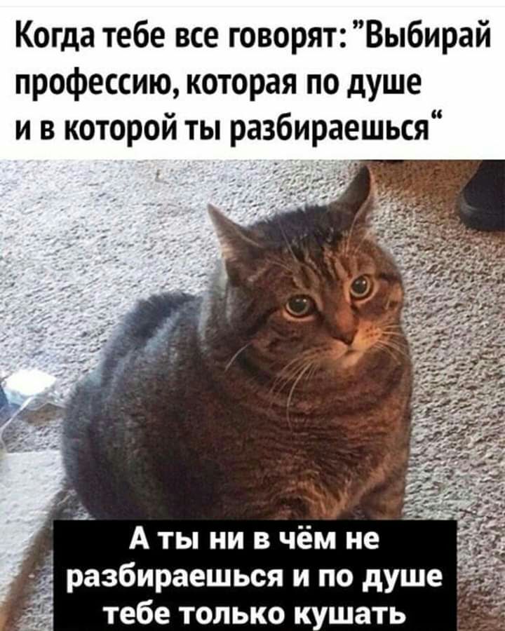 Когда тебе все говорятВыбирай профессию которая по душе и в которой ты разбираешься А ты ни в чём не разбираешься и по душе тебе только кушать