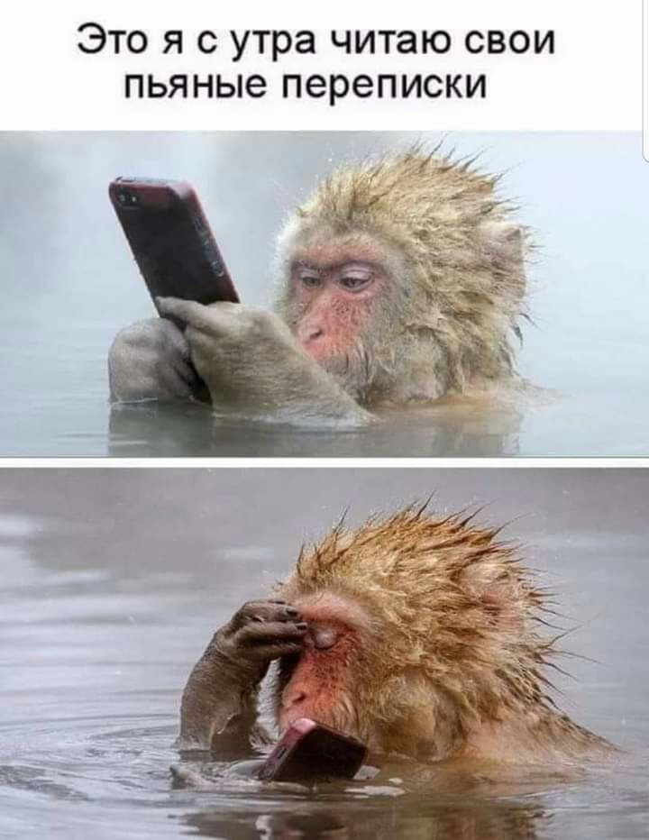 Это я с утра читаю свои пьяные переписки