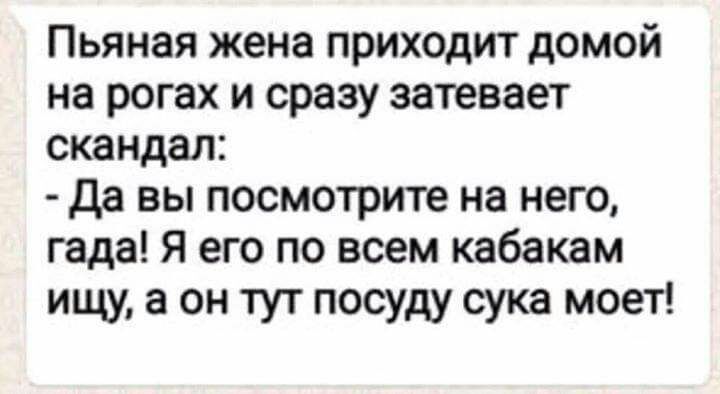 Пьяная жена приходит домой на рогах и сразу затевает скандал да вы посмотрите на него гада Я его по всем кабакам ищу а он тут посуду сука моет