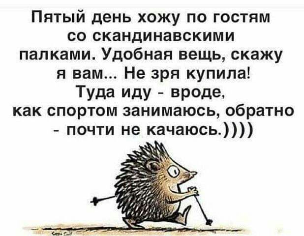Пятый день хожу по гостям со скандинавскими палками Удобная вещь скажу я вам Не зря купила Туда иду вроде как спортом занимаюсь обратно почти не качаюсь