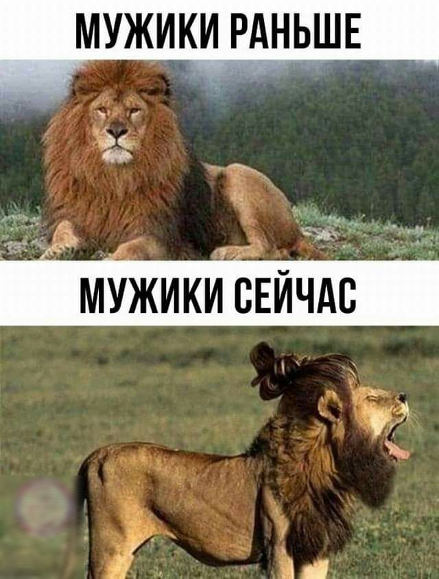 мжуики РАНЬШЕ