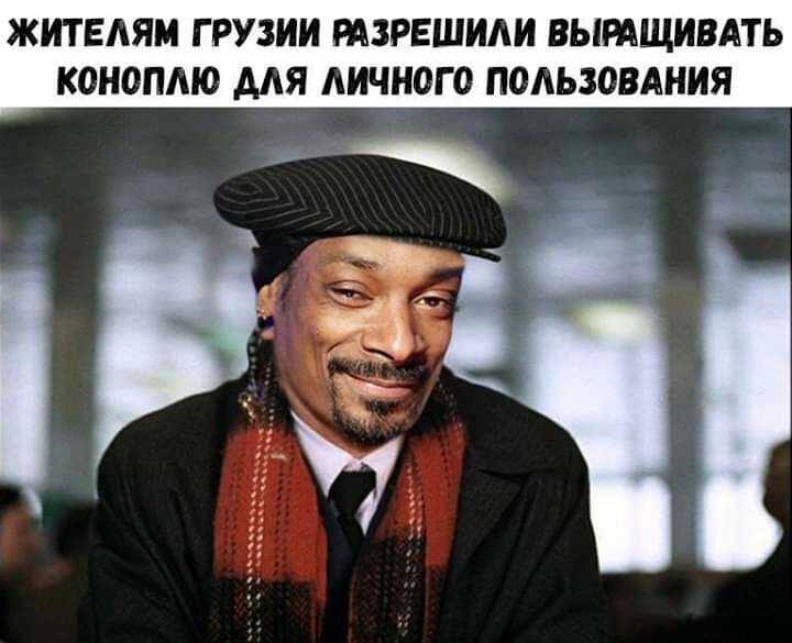 ЖИТЕАЯМ ГРУЗИИ РАЗРЕШИАИ ВЫРАЩИВАТЬ КОНОПМО МЯ ЛИЧНОГО ПОЛЬЗОВАНИЯ Ч