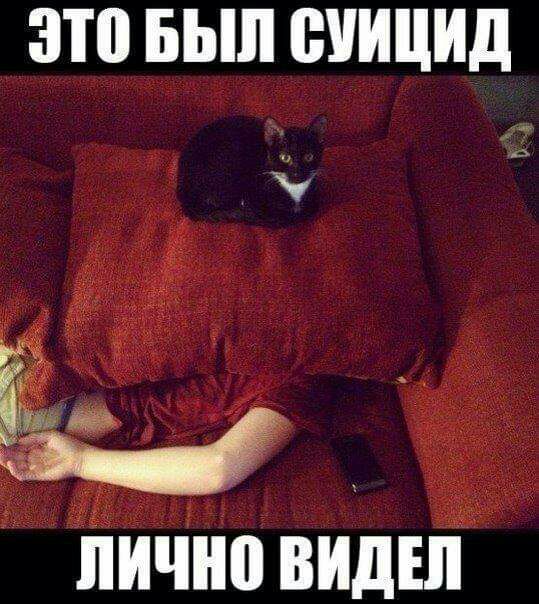 зтодд дпшипип _ 2 7 ЛИЧНО ВИДЕЛ