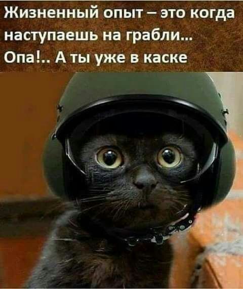 Жизненный опыт это когда наступаешь на грабли Опа А ты уже в каске